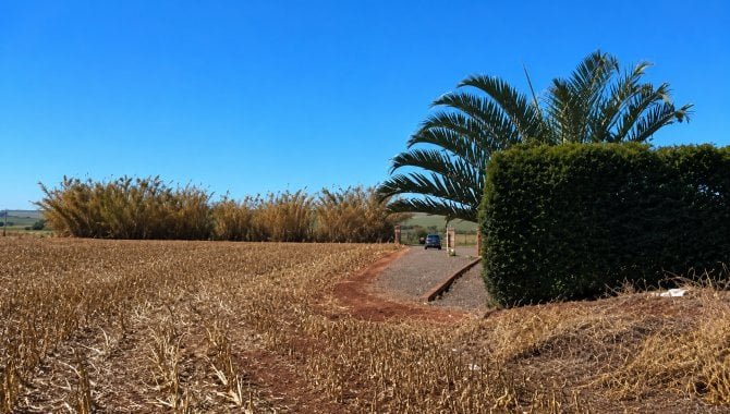 Imagem leilão