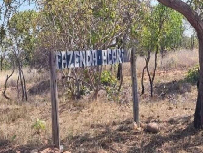 Imagem leilão