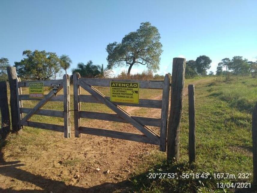 Imagem leilão