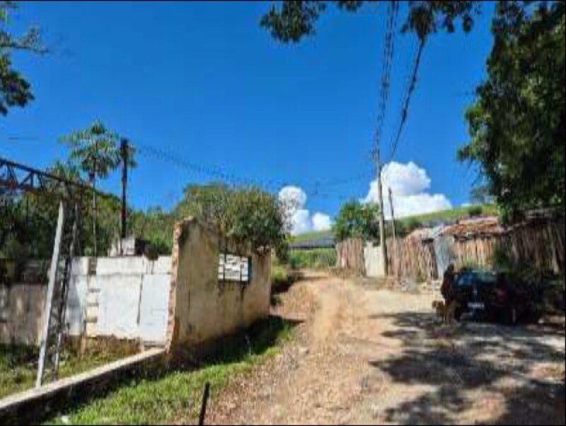 Imagem leilão