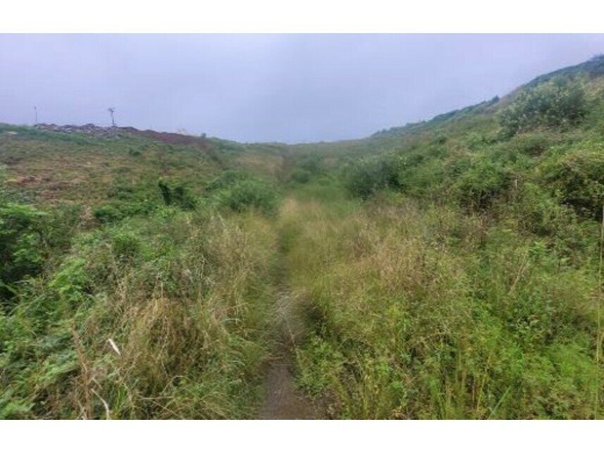 Terrenos à venda em leilão  em Timbaúba/PE - foto 2