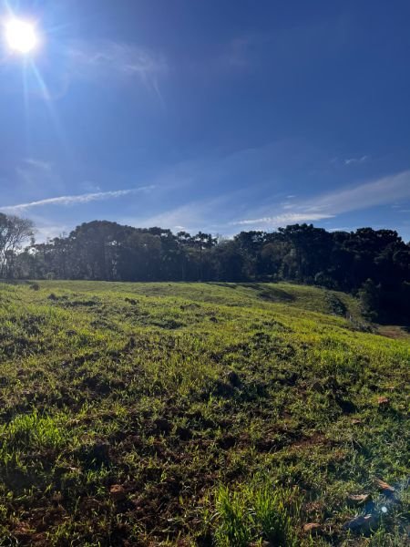 Área com 248.200,00 m² no Marmeleiro em Catanduvas/SC - foto 6