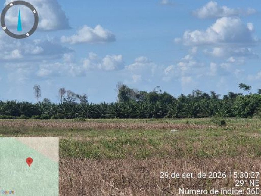 Área Rural à venda em leilão - Colônia Tailândia, Km 25, s/n - Interior - Tailândia / PA em Tailândia/PA - foto 15