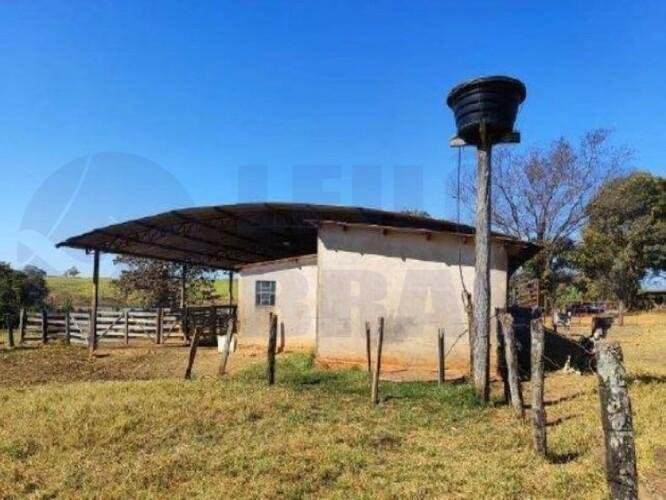 Imagem leilão