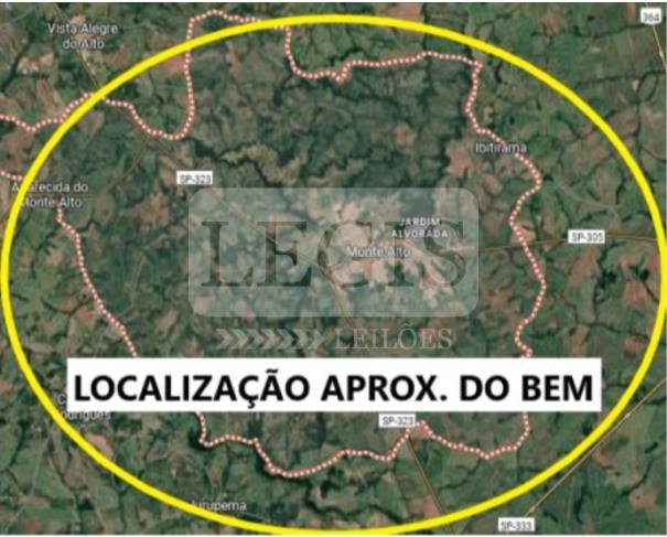 Imagem leilão