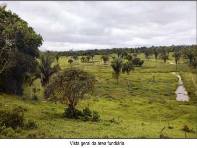Imagem leilão