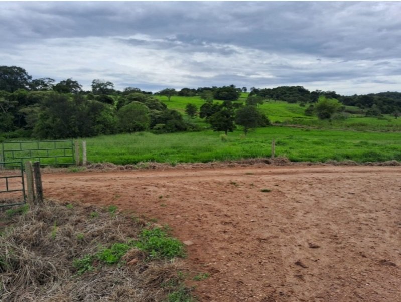Terreno rural com ou sem benfeitorias em Jandaia/GO - foto 3