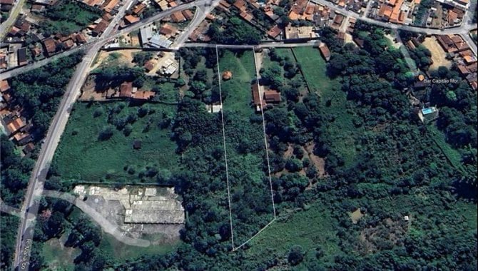 Imagem leilão