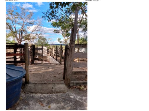 FAZENDA DOIS IRMÃOS MEDINDO 13,96 ALQUEIRES EM COLMÉIA, TOCANTINS em Colméia/TO - foto 3
