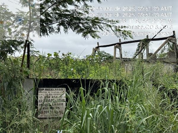 Imagem leilão