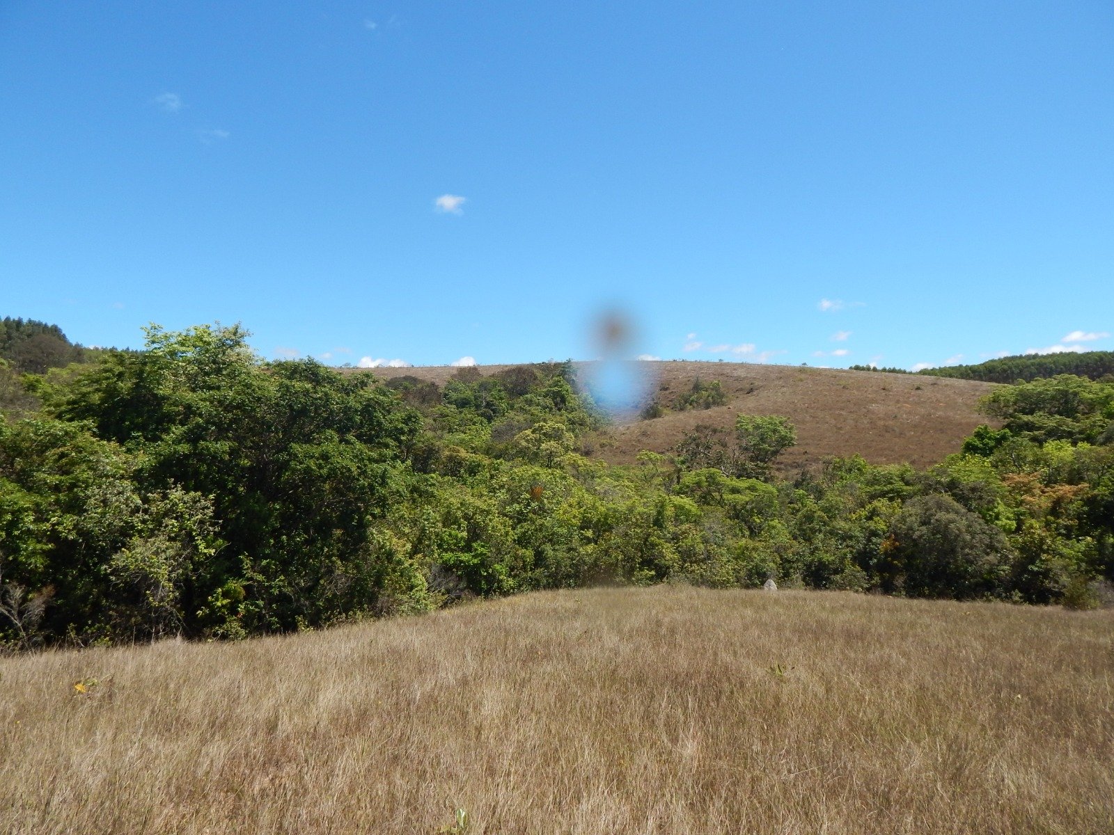 FAZENDA CAMPINAS APROXIMADAMENTE 90HA EM CRUZÍLIA /MG em Cruzília/MG - foto 15