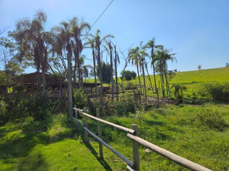 Terreno em Morro da Fumaça/SC - foto 15
