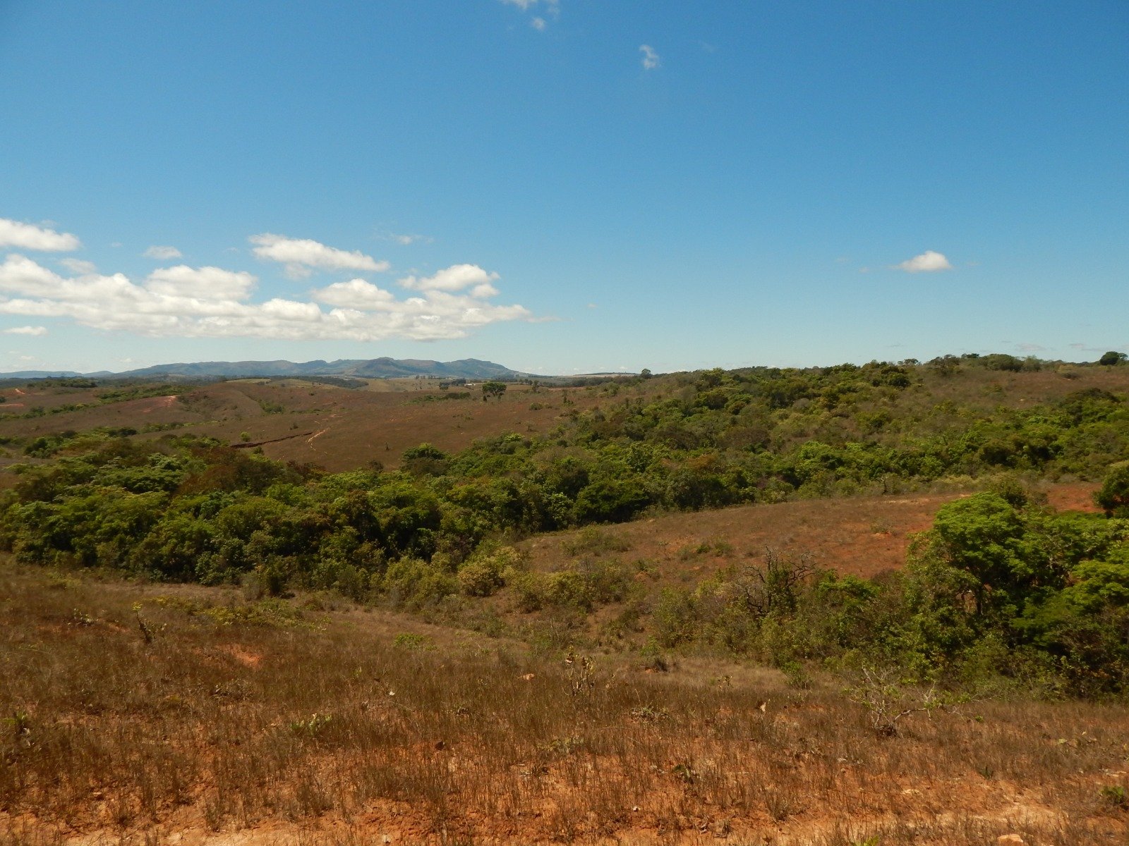 FAZENDA CAMPINAS APROXIMADAMENTE 90HA EM CRUZÍLIA /MG em Cruzília/MG - foto 16