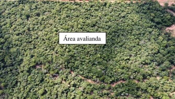 Parte Ideal sobre Imóvel Rural com 9 ha (Sítio Nossa Senhora Aparecida) - Assis - SP em Assis/SP - foto 3