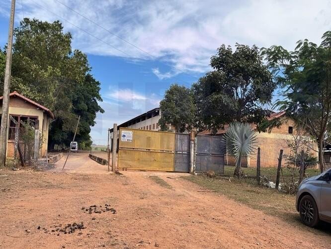 Imagem leilão