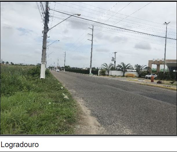 Imagem leilão