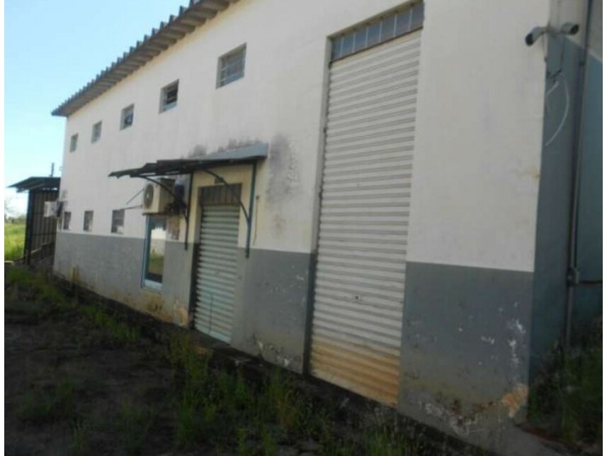 Imagem leilão