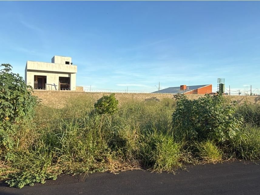 Imagem leilão