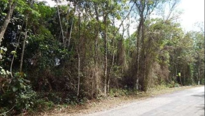 Imagem leilão