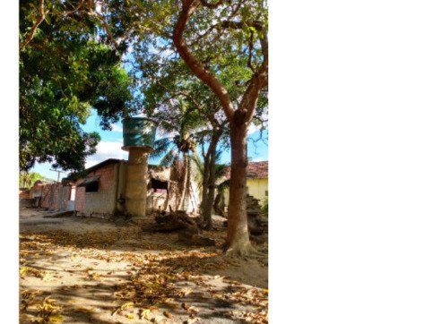 FAZENDA DOIS IRMÃOS MEDINDO 13,96 ALQUEIRES EM COLMÉIA, TOCANTINS em Colméia/TO - foto 16
