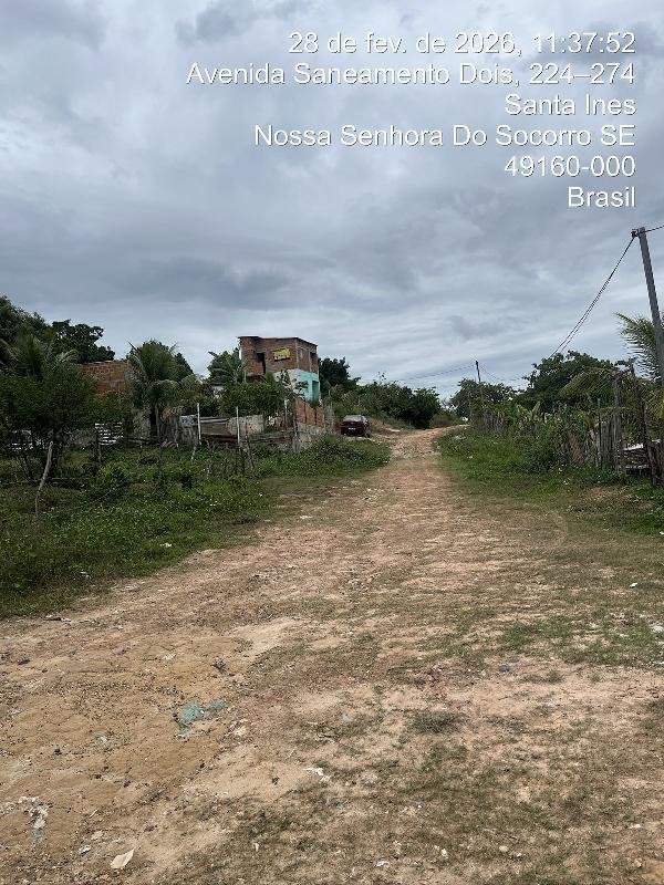 Imagem leilão