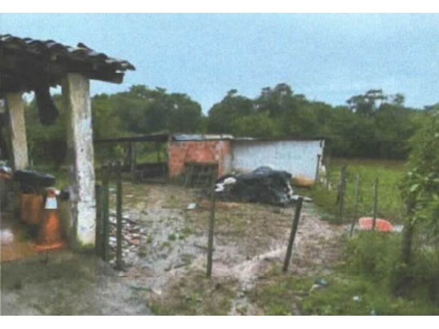 Imagem leilão