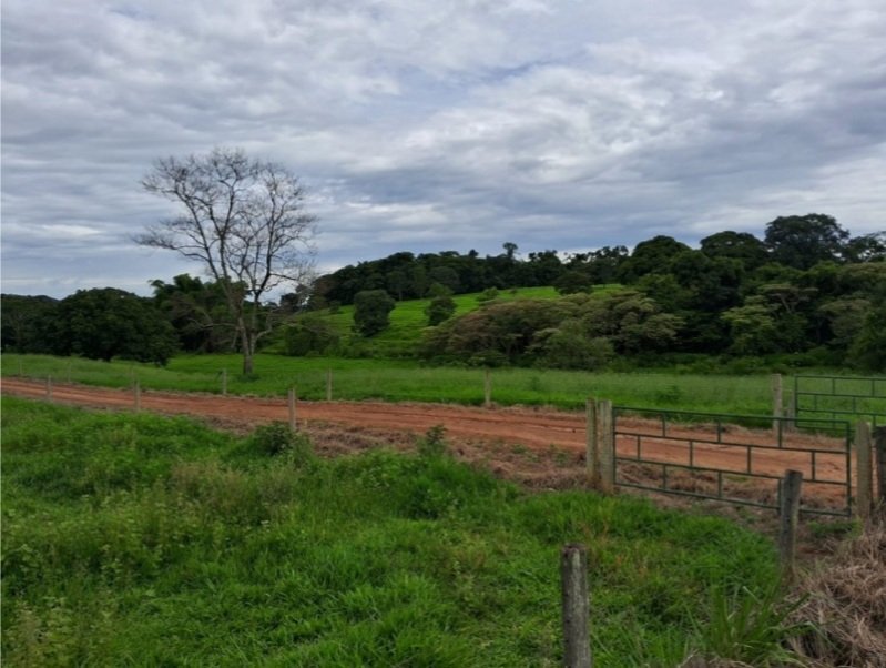 Terreno rural com ou sem benfeitorias em Jandaia/GO - foto 6