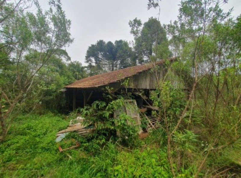 Terreno em Três Barras/SC - foto 3
