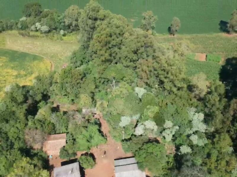 OS DIREITOS E AÇÕES DA FRAÇÃO IDEAL DE 8.410,71m² SOBRE.. em Áurea/RS - foto 7