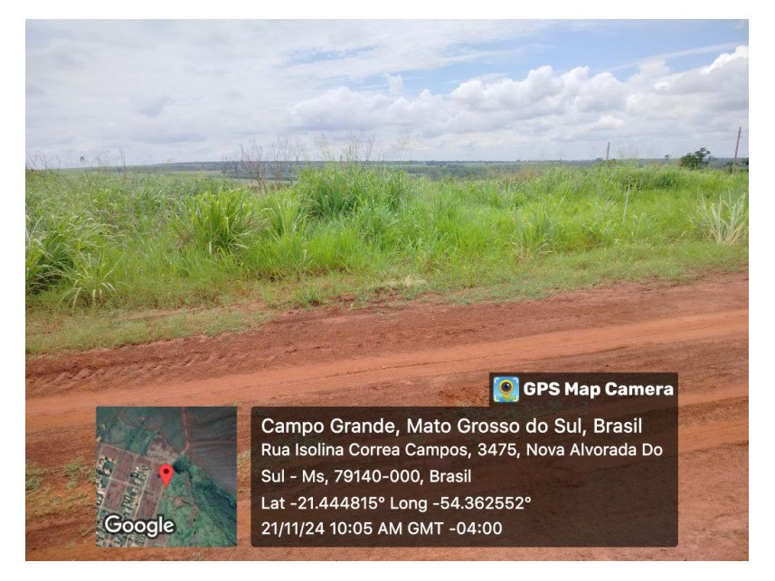 Imagem leilão