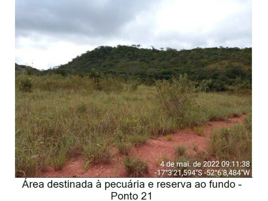 Imagem leilão
