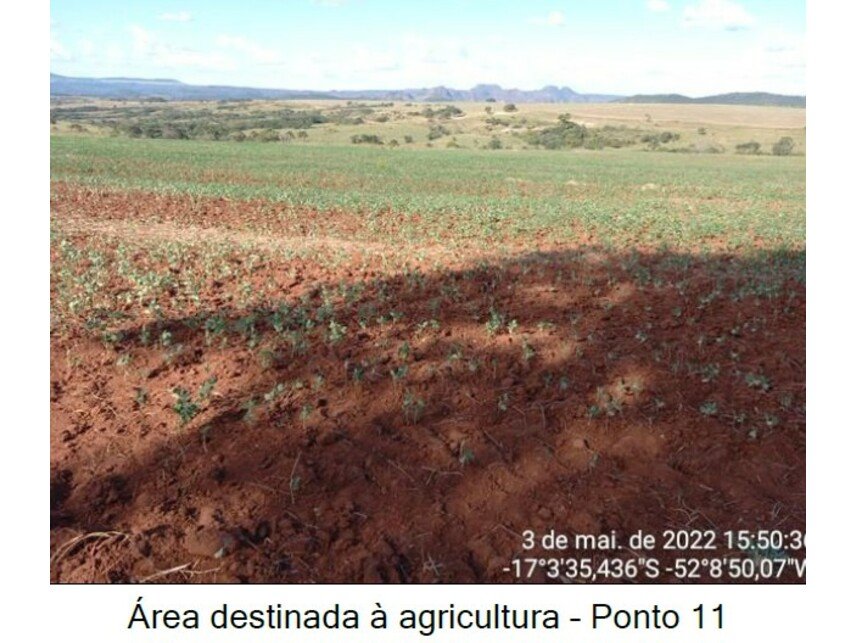 Imagem leilão
