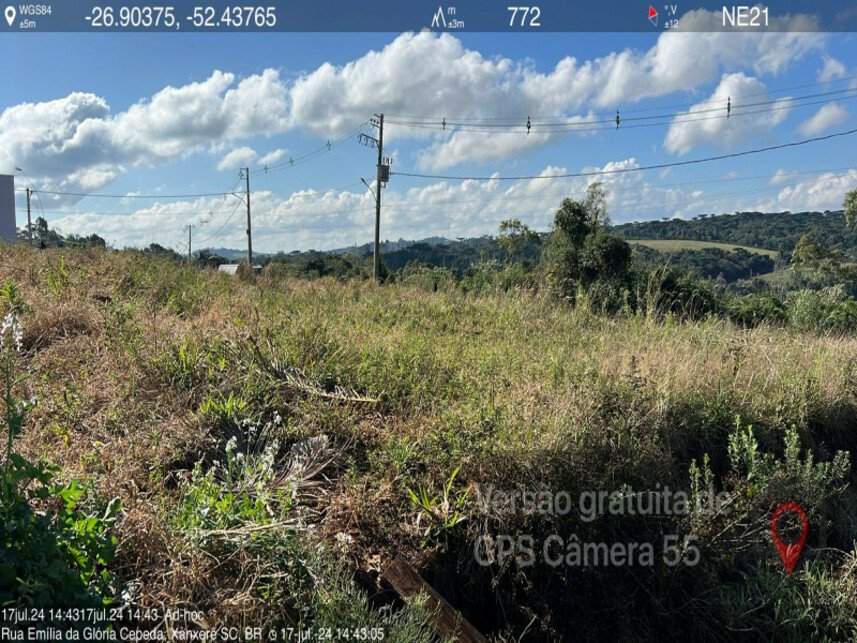 Imagem leilão