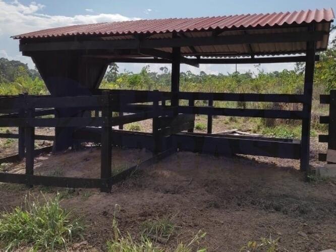Imagem leilão