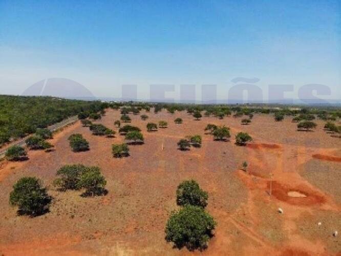 Imagem leilão