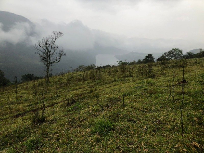 A FRAÇÃO IDEAL DE 50% (128.750,00M²) SOBRE O LOTE RURAL.. em Erval Grande/RS - foto 25