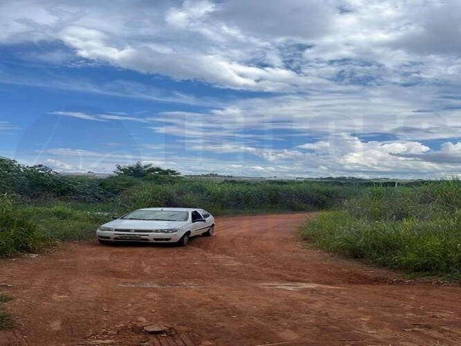 Imagem leilão