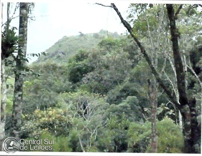 Terreno com área de 1.000.000,00m², situado em São Miguel, no Município de Biguaçu/SC em Biguaçu/SC - foto 9