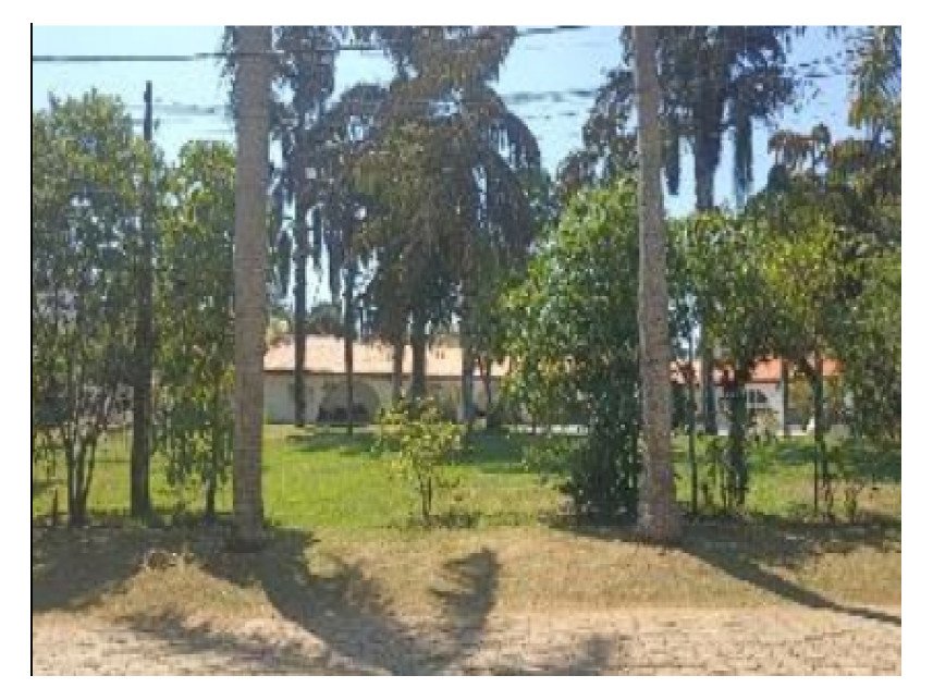 Imagem leilão