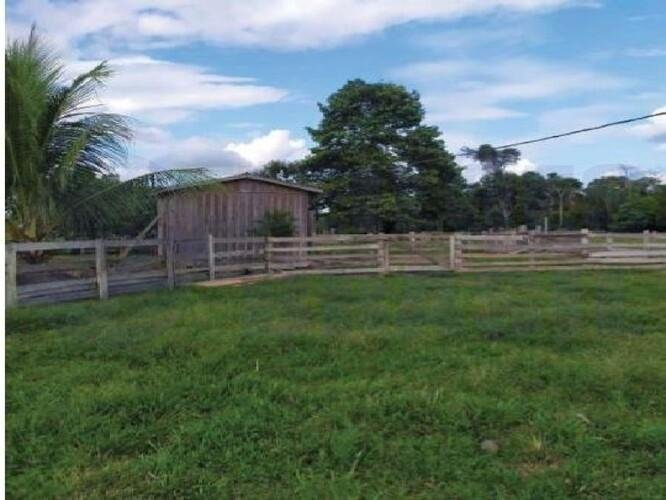 Imagem leilão