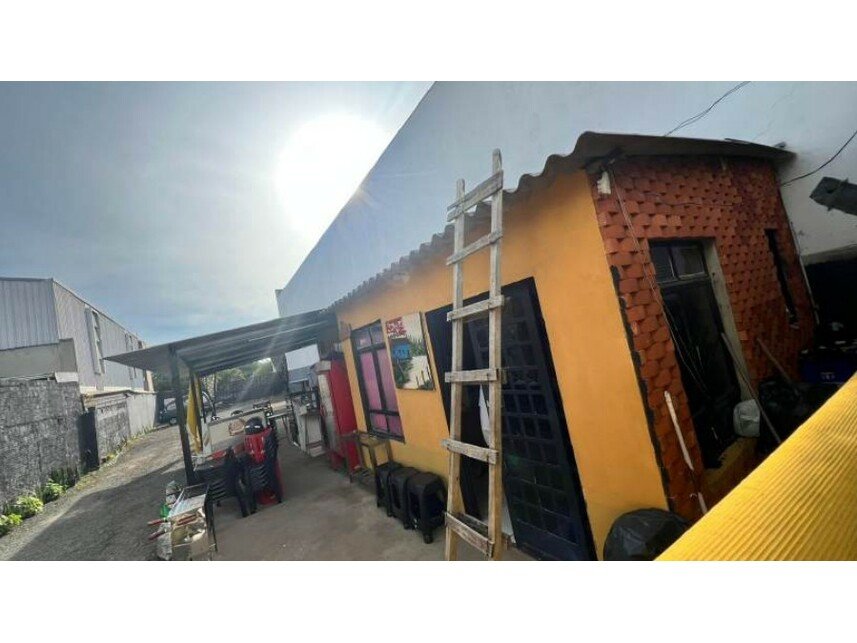 Imagem leilão