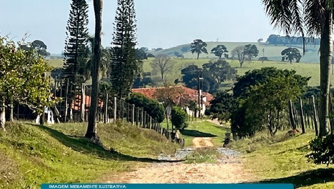 Parte Ideal (50%) sobre Imóvel Rural 271 ha (Fazenda São José Domingos Savio) - Campina - em Itapetininga/SP - foto 7