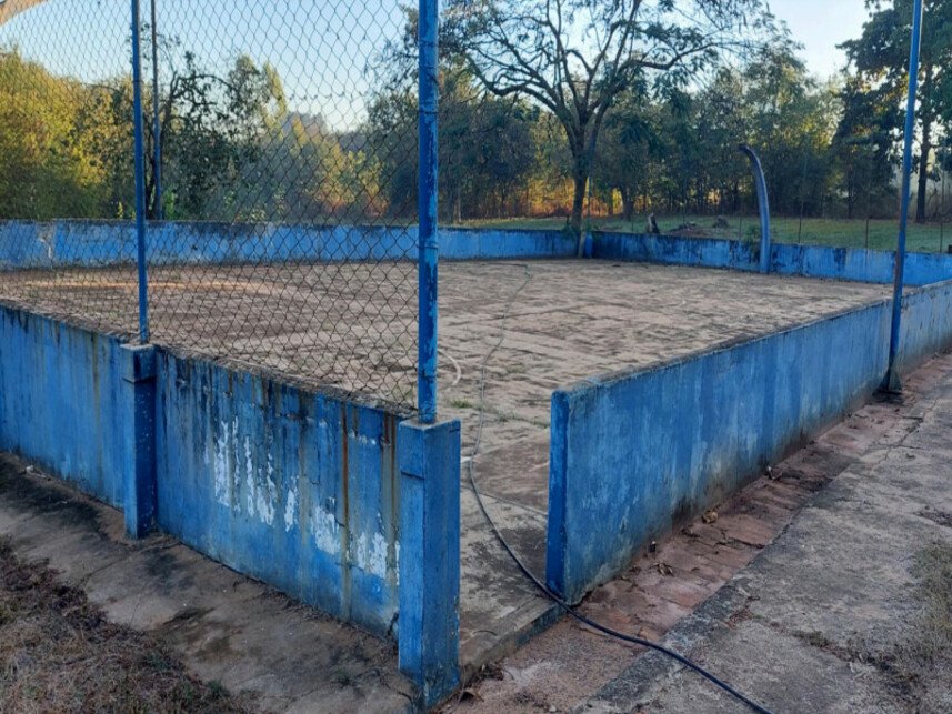 Imagem leilão
