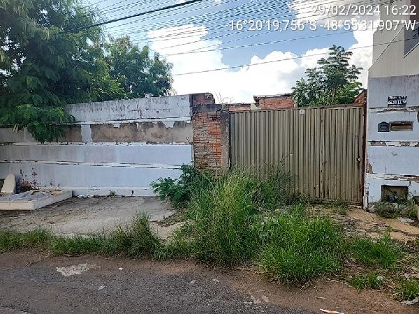 Imagem leilão