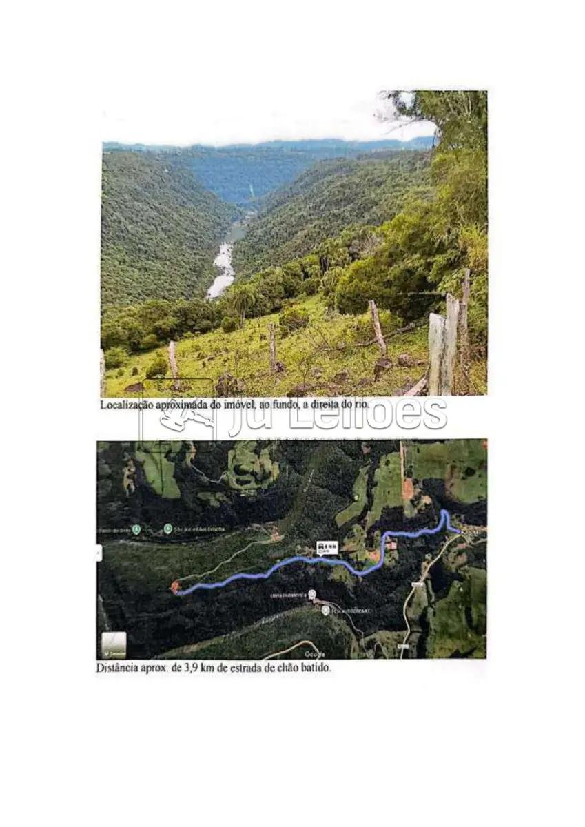 IMÓVEL RURAL COM 30 HECTARES EM VISTA ALEGRE DO PRATA/RS em Vista Alegre do Prata/RS