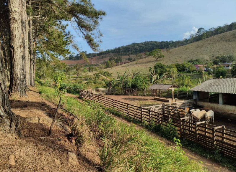 FAZENDA HAVAÍ COM ÁREA DE 33,7590 HA, COM GALPÃO E ESCR.. em Cristiano Otoni/MG - foto 12