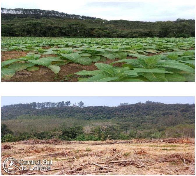 Terreno rural com área de 102.388,00m², com edificações, em Ribeirão do Tigre, no Municípi em Vitor Meireles/SC