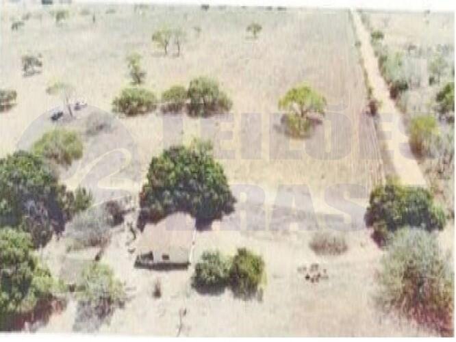 Imagem leilão