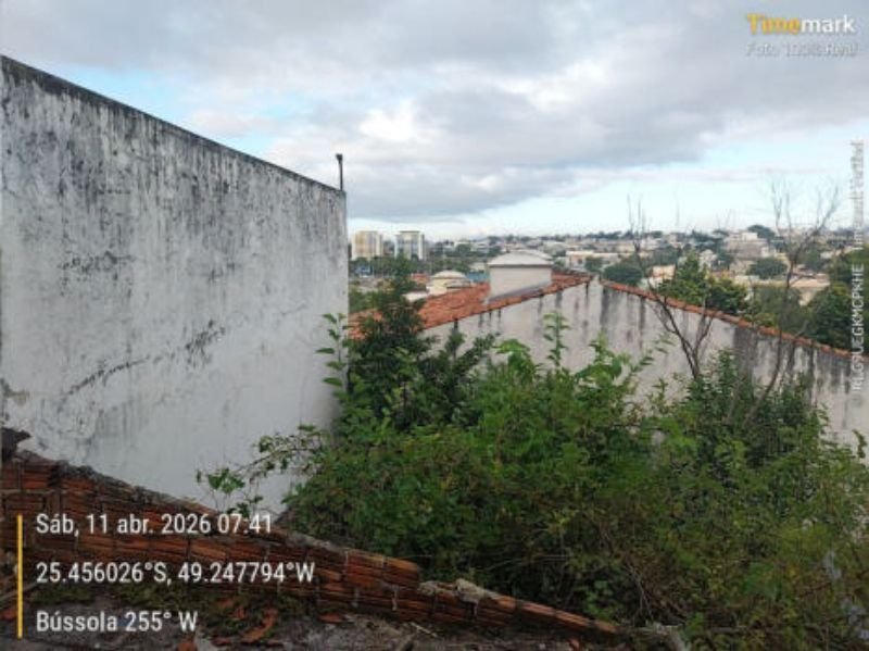 Imagem leilão