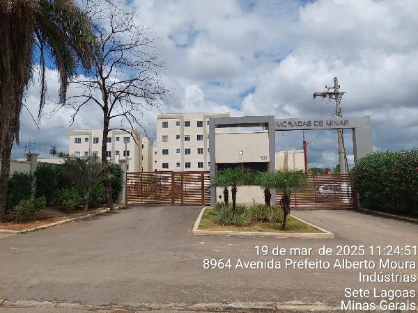Imagem leilão